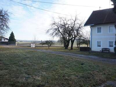 Gewerbeobjekt kaufen in 4912 Neuhofen (Bild 3)