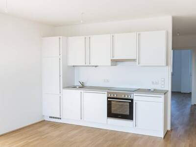 Anlageobjekt kaufen in 1230 Wien