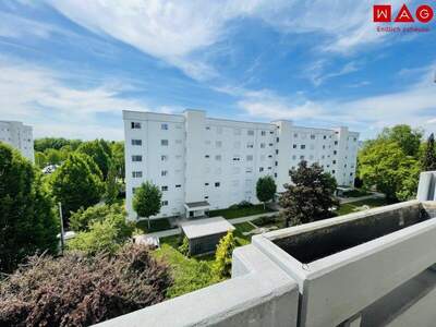 Terrassenwohnung mieten in 4020 Linz (Bild 1)