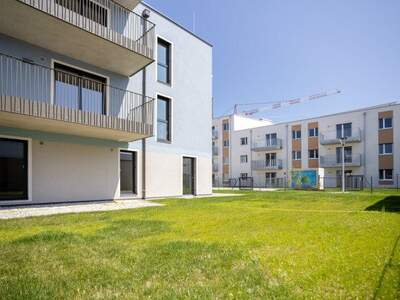 Terrassenwohnung kaufen in 2700 Wr. Neustadt (Bild 5)