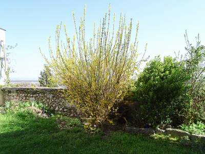 Haus kaufen in 4470 Enns (Bild 4)