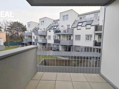 Terrassenwohnung mieten in 1220 Wien (Bild 1)