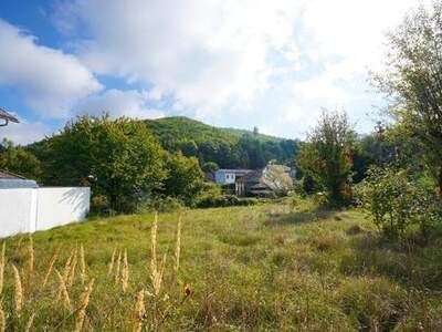 Grundstück kaufen in 3012 Wolfsgraben