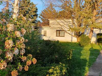 Einfamilienhaus kaufen in 1220 Wien (Bild 5)