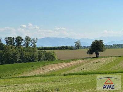 Haus kaufen in 4492 Hofkirchen