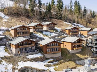Chalet kaufen in 5602 Wagrain (Bild 1)