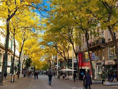 Gewerbeobjekt mieten in 1060 Wien