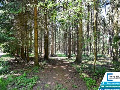 Gewerbeobjekt kaufen in 4761 Enzenkirchen (Bild 2)