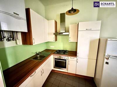 Terrassenwohnung kaufen in 1200 Wien (Bild 3)