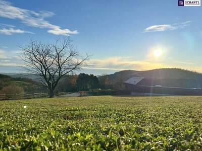 Grundstück kaufen in 8044 Weinitzen