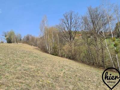 Grundstück kaufen in 8524 Deutschlandsberg (Bild 5)