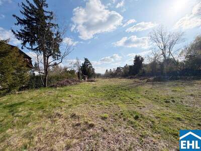 Grundstück kaufen in 1230 Wien (Bild 3)