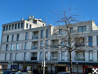 Anlageobjekt kaufen in 2700 Wiener Neustadt (Bild 1)