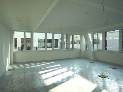 Gewerbeobjekt mieten in 1210 Wien (Bild 3)