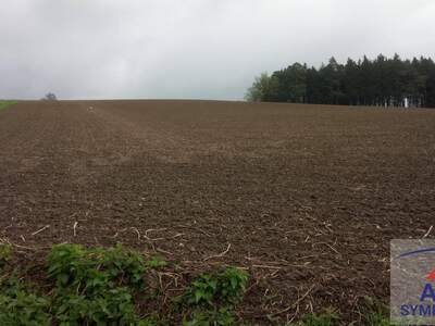 Gewerbeobjekt kaufen in 5233 Uttendorf