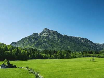 Grundstück kaufen in 5020 Salzburg