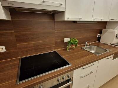 Apartment provisionsfrei mieten in 1200 Wien
