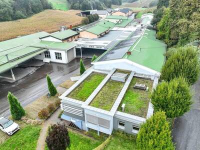 Gewerbeobjekt mieten in 8353 Kapfenstein