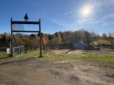 Gewerbeobjekt kaufen in 3903 Echsenbach