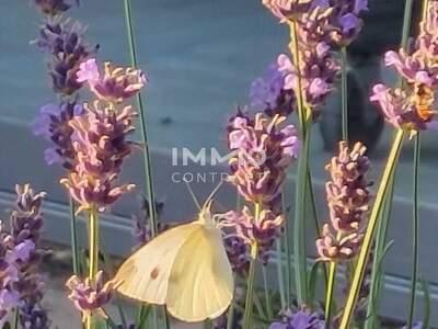 Anlageobjekt kaufen in 4030 Linz (Bild 3)