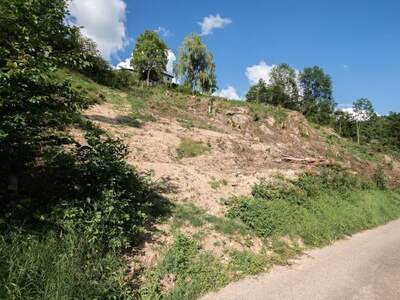 Grundstück kaufen in 4111 Walding