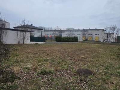 Grundstück kaufen in 2483 Weigelsdorf (Bild 2)