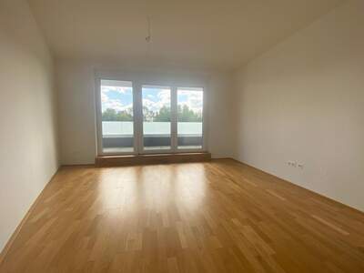 Terrassenwohnung mieten in 2700 Wr. Neustadt (Bild 3)