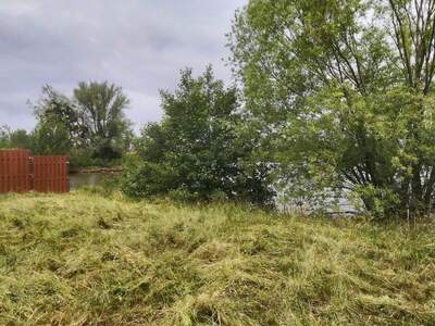 Grundstück kaufen (Bild 4)