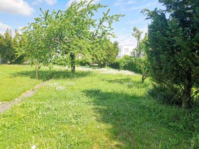 Haus mit Garten kaufen in 4030 Linz (Bild 1)