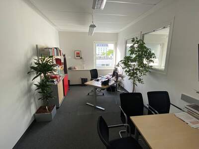 Gewerbeobjekt mieten in 1060 Wien (Bild 4)