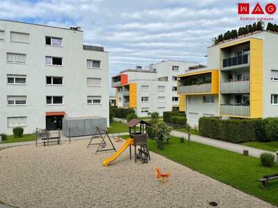 Terrassenwohnung mieten in 4221 Steyregg (Bild 1)