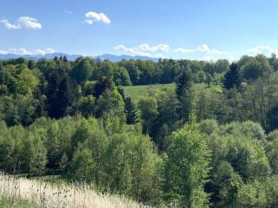 Anlageobjekt kaufen in 4840 Vöcklabruck