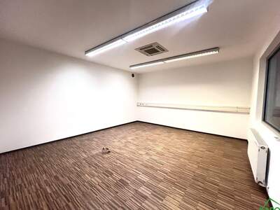 Gewerbeobjekt mieten in 1110 Wien (Bild 2)