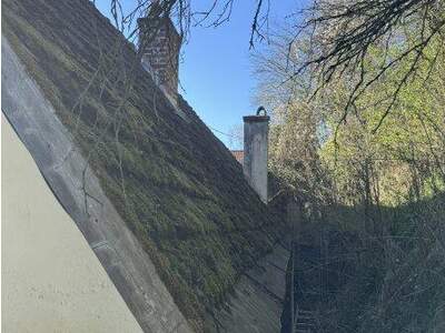 Haus kaufen in 4460 Losenstein (Bild 3)