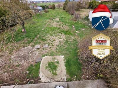 Grundstück kaufen in 3435 Zwentendorf (Bild 5)