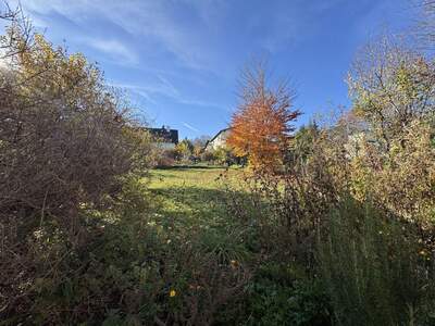Grundstück kaufen in 3400 Klosterneuburg (Bild 2)