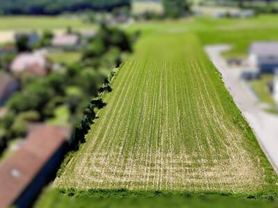 Grundstück kaufen in 3062 Kirchstetten