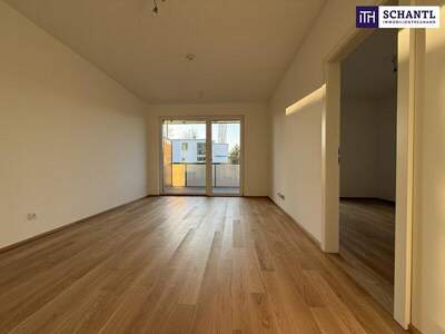 Terrassenwohnung kaufen in 8045 Graz (Bild 2)