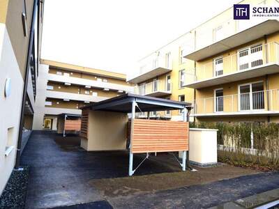 Terrassenwohnung kaufen in 8401 Kalsdorf (Bild 3)