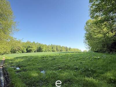 Gewerbeobjekt kaufen in 4076 St. Marienkirchen (Bild 3)