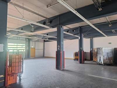 Gewerbeobjekt mieten in 2700 Wiener Neustadt (Bild 3)