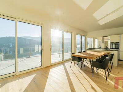 Penthouse kaufen in 9872 Millstatt