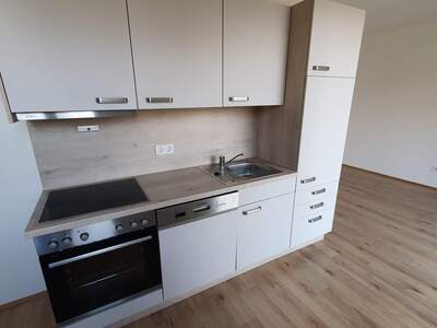 Terrassenwohnung mieten in 8461 Ehrenhausen (Bild 3)