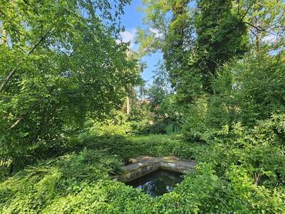 Haus mit Garten kaufen in 4611 Hundsham (Bild 5)