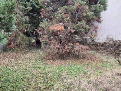 Grundstück kaufen in 1210 Wien (Bild 4)