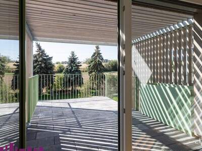 Terrassenwohnung kaufen in 1100 Wien (Bild 3)