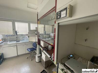 Gewerbeobjekt mieten in 1210 Wien (Bild 5)