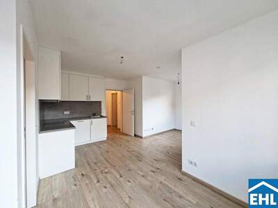 Terrassenwohnung mieten in 1100 Wien (Bild 3)
