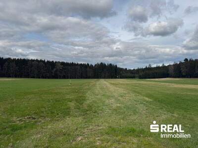 Grundstück kaufen in 4762 St. Willibald