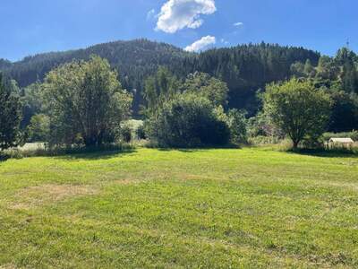 Grundstück kaufen in 8653 Stanz (Bild 2)